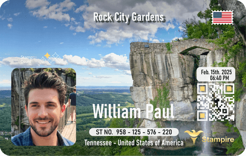 Visit card 4